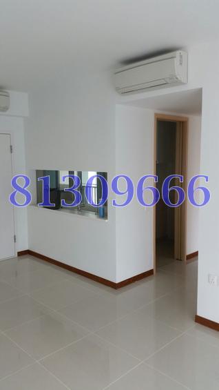 A Treasure Trove (D19), Condominium #78166032